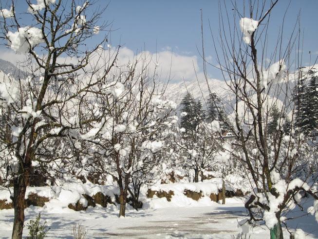 Hotel Treebo Trend Celebriti Manali Vashist Esterno foto