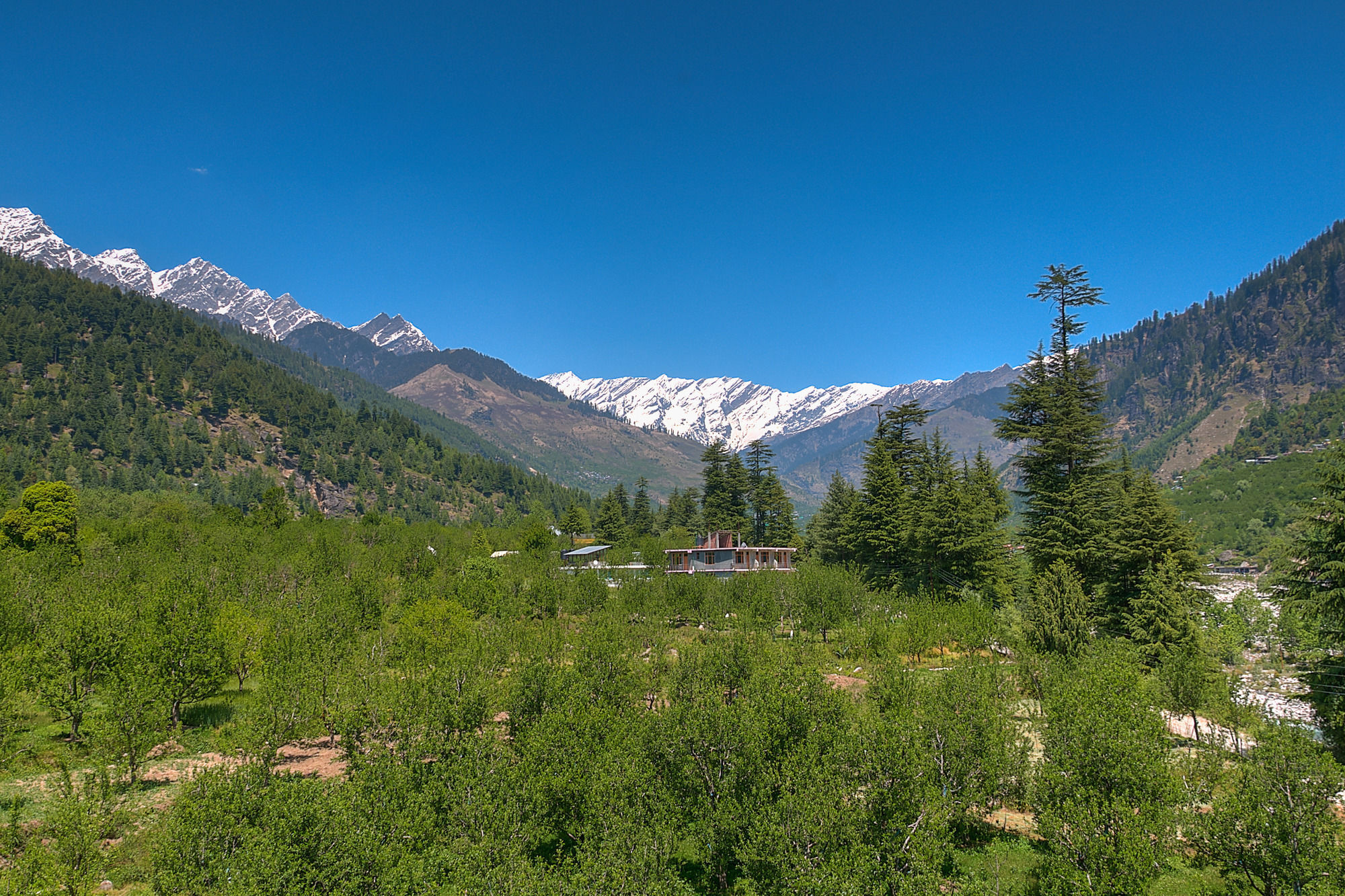 Hotel Treebo Trend Celebriti Manali Vashist Esterno foto